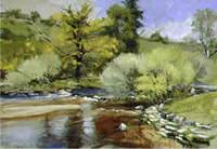 Robert Jennings - River Dart, Hexworthy