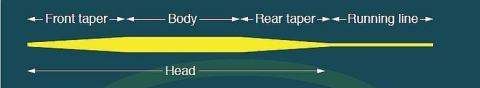 RIO Fly Line Structure:Tapers