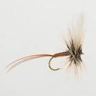 European Brown Mayfly
