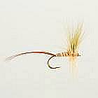 European Yellow Mayfly