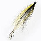 Snakeflies