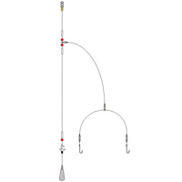 Long Range Wishbone Rig*