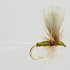Blue Winged Olive