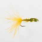 Damsel