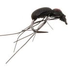 Barbless Black Spider Dry