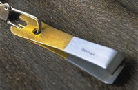 Gold Snips