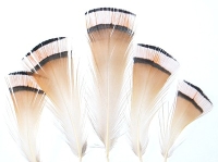 GP Tippet Feathers