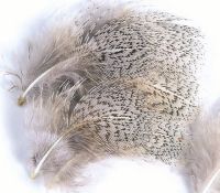 English Grey Partridge Neck Hackles 1g Natural & Dyed