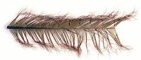 Veniard Knotted Pheasant Tail On The Quill