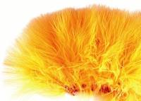Turkey Marabou Strug Blood Feathers