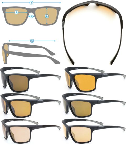 Tipsi Polarised Sunglasses