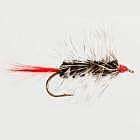 Woolly Worm Black
