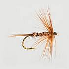 Pheasant Tail