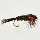 Montana Orange