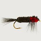 Montana Red