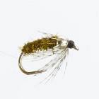 Universal Nymph