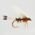 Royal Coachman