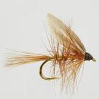 Wickham's Fancy