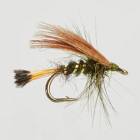 Sooty Olive